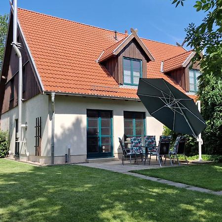 Ferienhaus Hase Villa Burg  Esterno foto