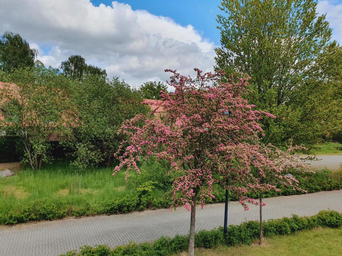 Ferienhaus Hase Villa Burg  Esterno foto