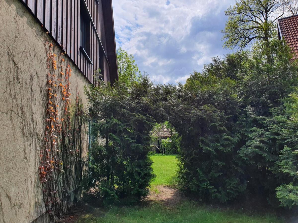 Ferienhaus Hase Villa Burg  Esterno foto