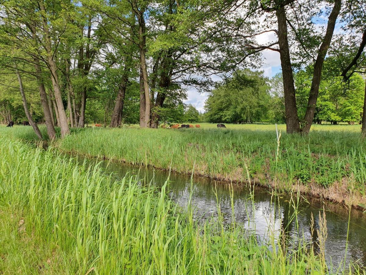 Ferienhaus Hase Villa Burg  Esterno foto